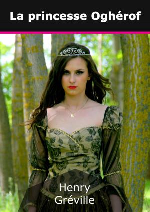 Cover of the book La princesse Oghérof by Sophia Linus