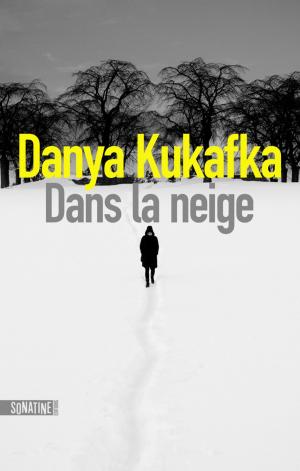 Cover of the book Dans la neige by S.J. WATSON
