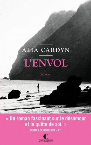 Book cover of L'envol
