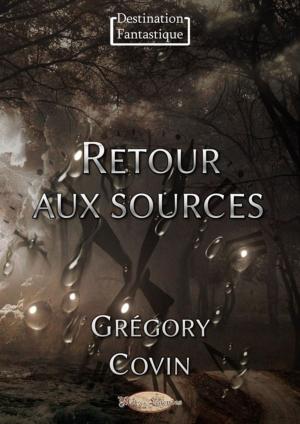 Cover of the book Retour aux sources by Jeremiah D. MacRoberts