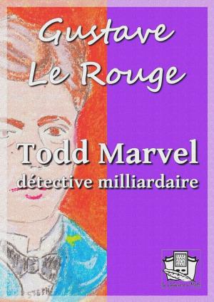 Cover of the book Todd Marvel détective milliardaire by Alphonse Daudet