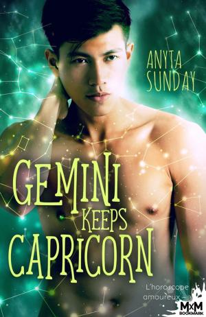 bigCover of the book Gemini Keeps Capricorn by 