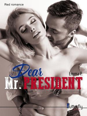Book cover of Dear Mr. PRESIDENT