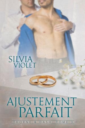 Cover of the book Ajustement parfait by Kendall Mckenna