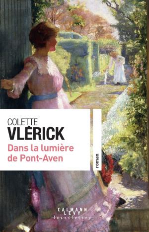 Cover of the book Dans la lumière de Pont-Aven by Elise Fontenaille