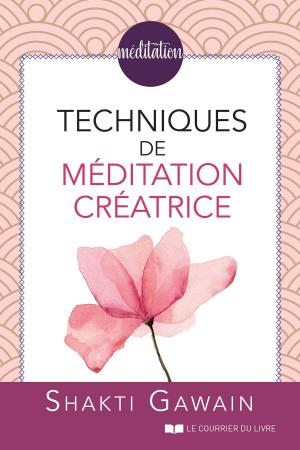 Book cover of Techniques de méditation créatrice