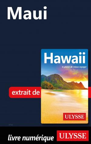 Cover of the book Maui by Jérôme Delgado
