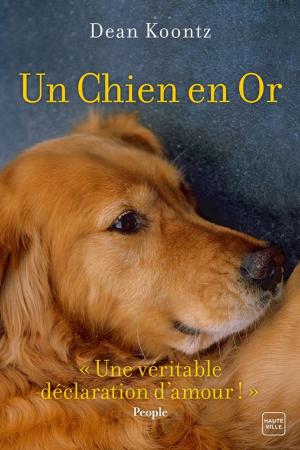 Book cover of Un chien en or