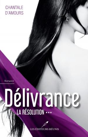 Cover of the book Délivrance T.3 by Mélanie Cousineau
