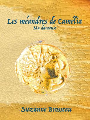 Cover of the book Les méandres de Camélia by Jason Cordova