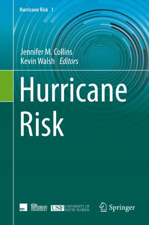 Cover of the book Hurricane Risk by Ricard Prados, Rafael Garcia, László Neumann