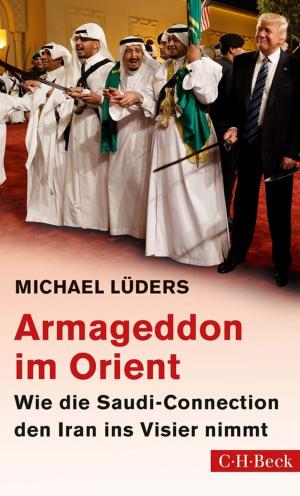 Cover of Armageddon im Orient