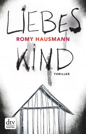 Cover of the book Liebes Kind by Antje Szillat