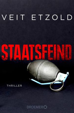 Cover of the book Staatsfeind by Jørn Lier Horst
