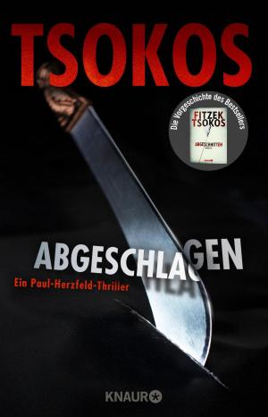 Book cover of Abgeschlagen
