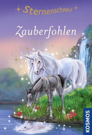 Cover of the book Sternenschweif, 60, Zauberfohlen by Barbara Schöning