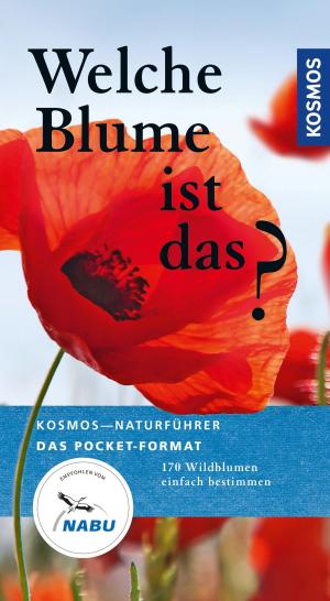 Cover of the book Welche Blume ist das? by Markus Flück