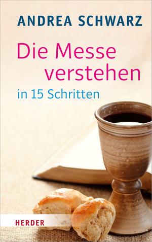 Cover of the book Die Messe verstehen in 15 Schritten by Michael Steinbrecher