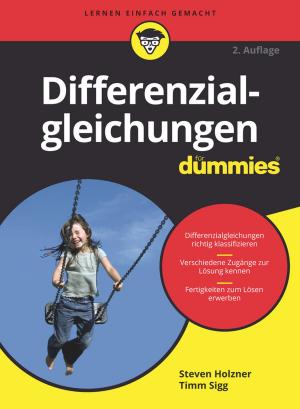 Cover of the book Differenzialgleichungen für Dummies by Janet R. Carpman, Myron A. Grant