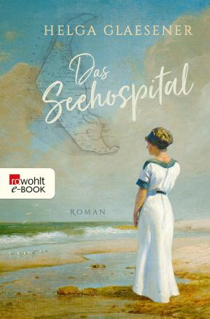 Cover of the book Das Seehospital by Daniel Kehlmann, Sebastian Kleinschmidt