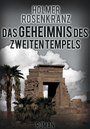 Book cover of Das Geheimnis des zweiten Tempels