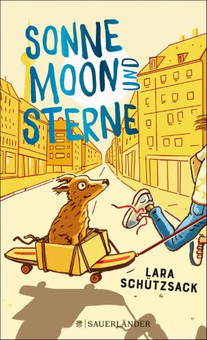 Cover of the book Sonne, Moon und Sterne by Antje Herden