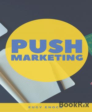 Book cover of Push Marketing