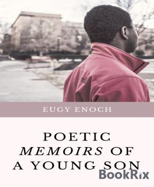 Book cover of Poetic Memoirs of a Young Son