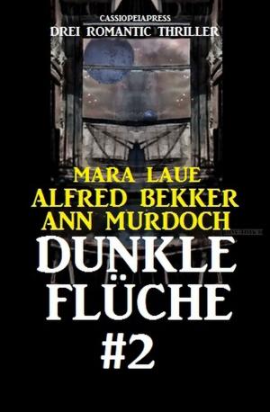Book cover of Dunkle Flüche #2: Drei Romantic Thriller