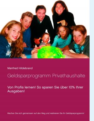Cover of the book Geldsparprogramm Privathaushalte by Bernhard Wessling