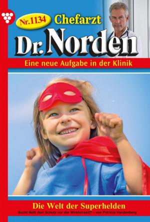 Book cover of Chefarzt Dr. Norden 1134 – Arztroman