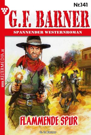 Cover of the book G.F. Barner 141 – Western by Sissi Merz