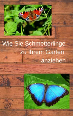 Cover of the book Wie Sie Schmetterlinge zu Ihrem Garten anziehen by Heidi Dahlsen
