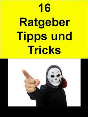 Cover of the book 16 Ratgeber-Tipps-Tricks by Heike Rau, Christine Rau