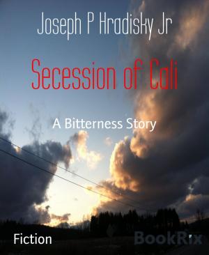 Cover of the book Secession of Cali by Jamie Le Fay