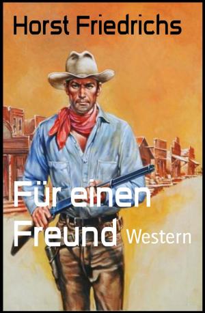 Cover of the book Für einen Freund by Olaf Lahayne