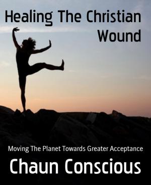 Cover of the book Healing The Christian Wound by Stefan Zweig