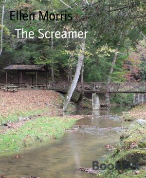 bigCover of the book The Screamer by 