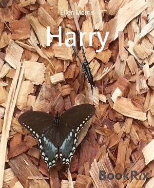 Cover of the book Harry by Christine Woydt