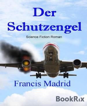 Cover of the book Der Schutzengel by Ayaan Zaman