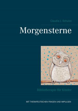 Cover of the book Morgensterne by Holger Dörnemann