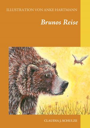 Cover of the book Brunos Reise by Jörg Becker