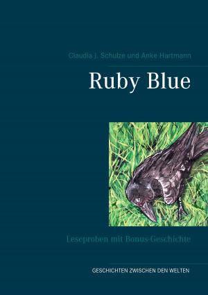Cover of the book Ruby Blue by Fridolin Gmelin