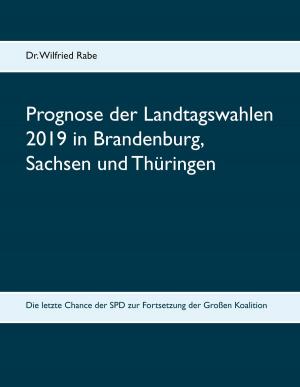 Book cover of Prognose der Landtagswahlen 2019 in Brandenburg, Sachsen und Thüringen