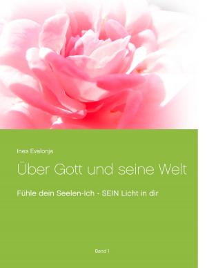 Book cover of Über Gott und seine Welt
