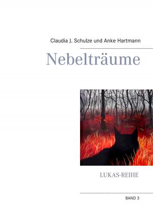 Cover of the book Nebelträume by Jörg Becker