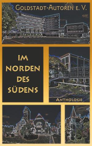 Cover of the book Im Norden des Südens by Heiko Hansen