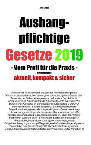 Cover of the book Aushangpflichtige Gesetze 2019 Gesamtausgabe by Jolan Rieger