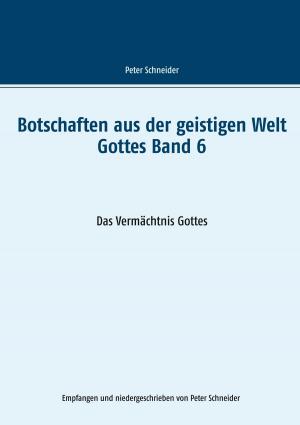 Cover of the book Botschaften aus der geistigen Welt Gottes Band 6 by Christian Schlieder