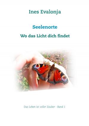 Book cover of Seelenorte
